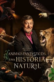 Assista o filme Animais Fantásticos Uma História Natural Online