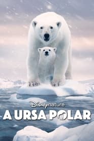 Assista o filme A Ursa Polar Online