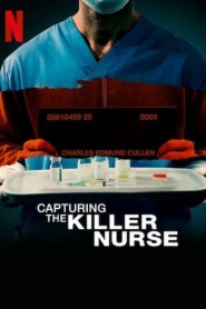 Assista o filme Em Busca do Enfermeiro da Noite Online