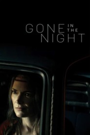 Assista o filme Gone in the Night Online