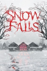 Assista o filme Snow Falls Online