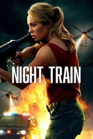 Assista o filme Night Train Online