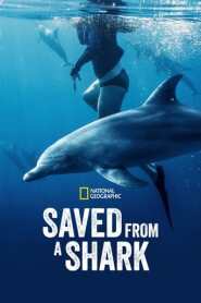 Assista o filme Resgatados dos Tubarões Online