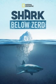 Assista o filme Shark Below Zero Online