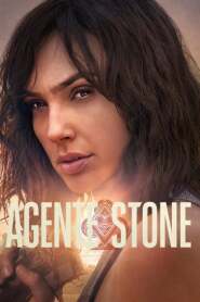 Assista o filme Agente Stone Online