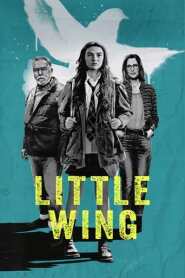 Assista o filme Little Wing Online