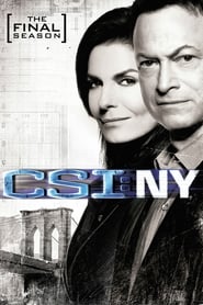 Assista a serie CSI: Nova York Online